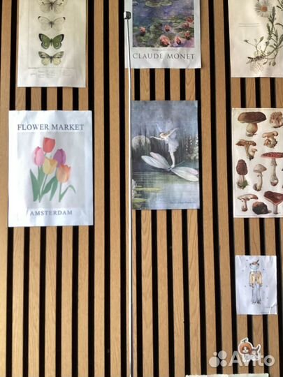 Радиоприемник Silver XF900. Japan