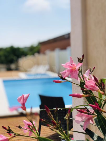 Комната 14 м², 1/3 эт.