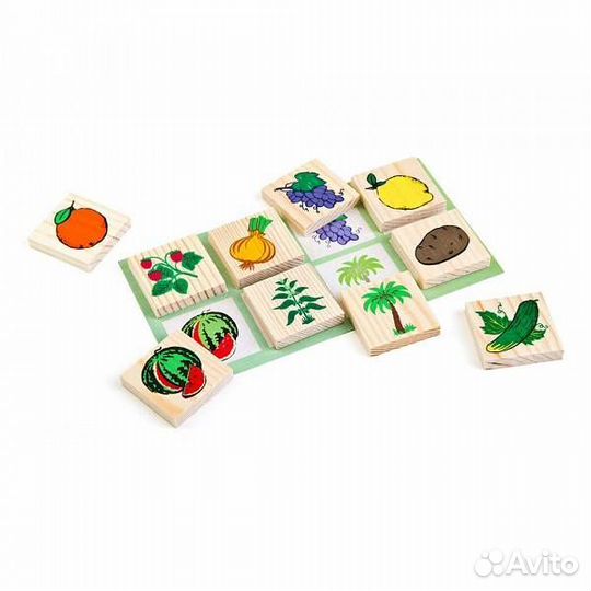 Лото растительный мир 6-2222-1