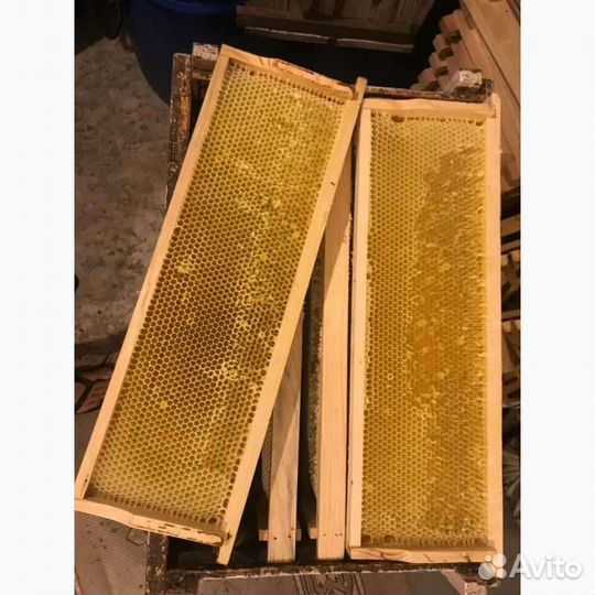 Рамки с сушью