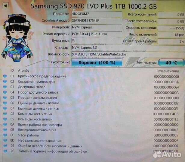 Samsung 970 Evo Plus 1tb