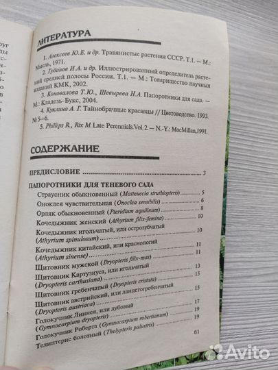 Папоротники в саду — Куклина А. Г