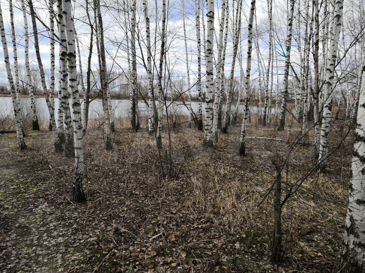 Участок 41 сот. (ИЖС)