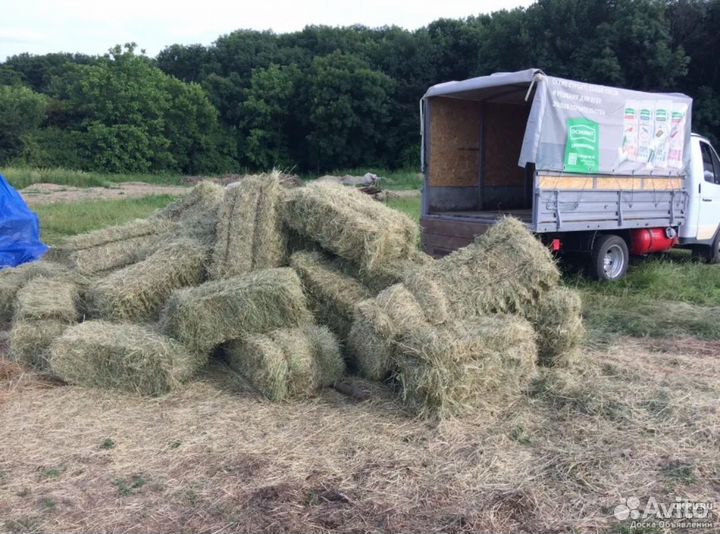Сено в тюках с доставкой