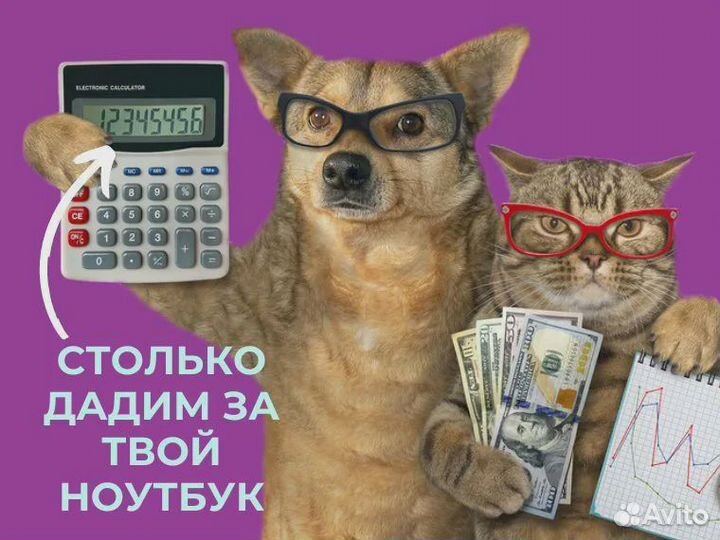 Пушка Игровые ноутбуки Больше не надо искать