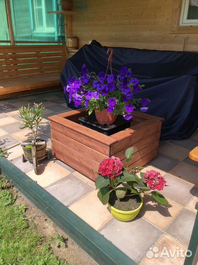 Клумба кашпо грядка кадка вазон массив сосны