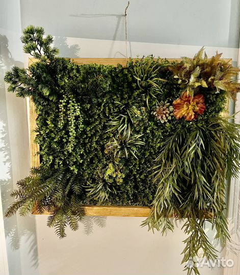 Панно из искусственной зелени, фитостена