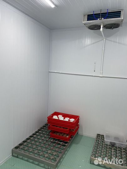 Камера созревание для сыров и колбас