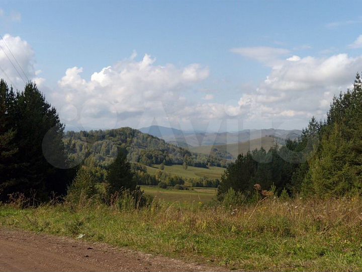 Участок 1,18 га (СНТ, ДНП)