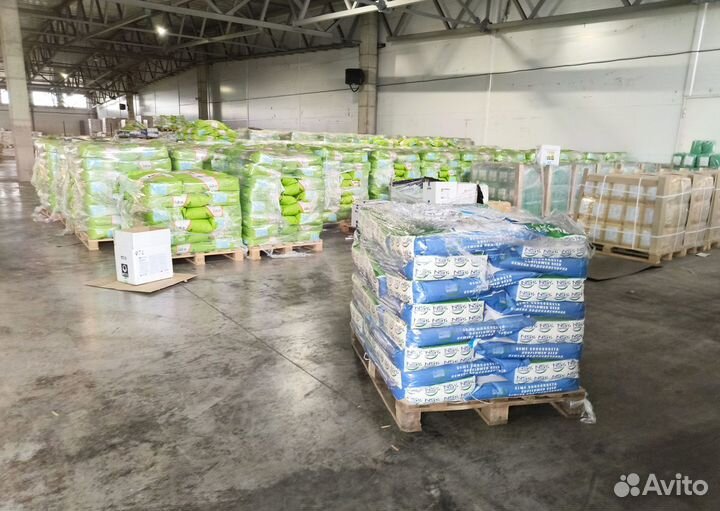 Семена подсолнечника Нови Сад 6341 под евролайтинг