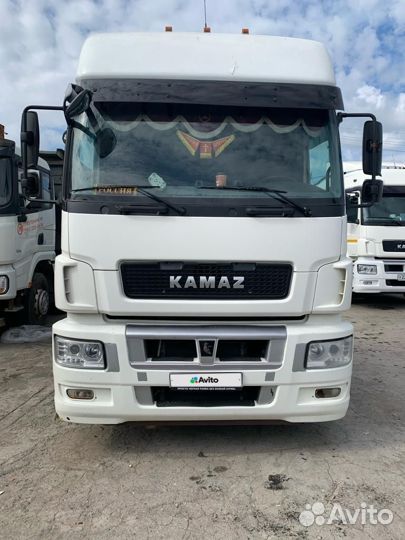 КамАЗ 5490 NEO, 2017