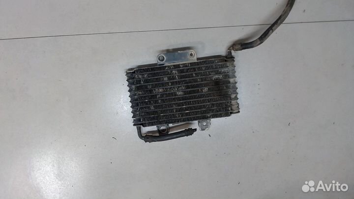 Радиатор масляный Mitsubishi Pajero / Montero, 200