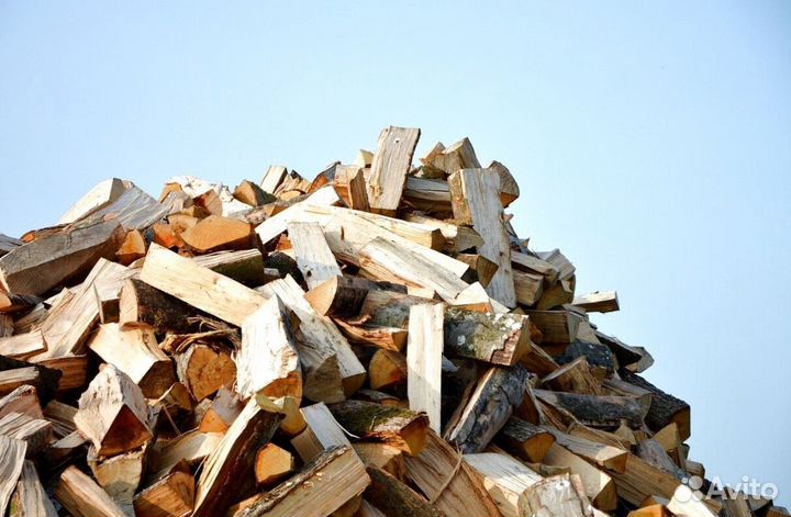Дрова с Зеленогорска