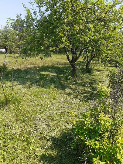 Участок 10 сот. (СНТ, ДНП)