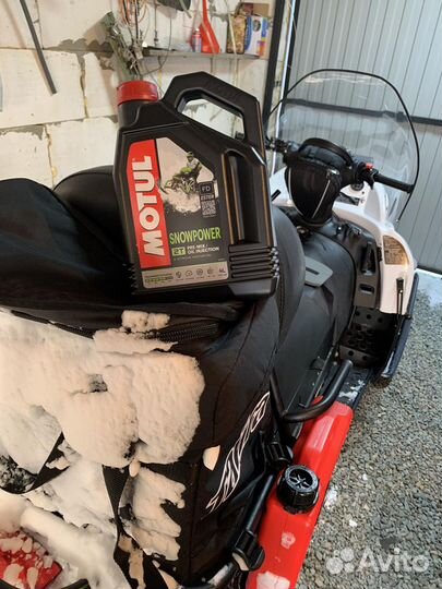 Тайга варяг 550 V