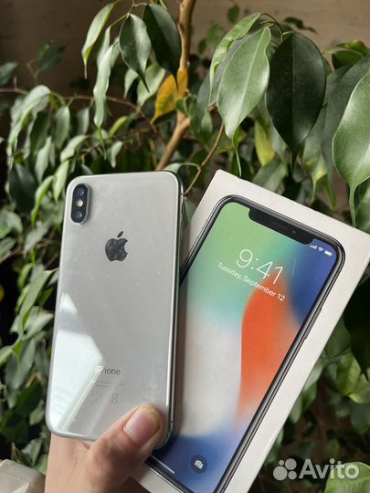 iPhone X, 256 ГБ