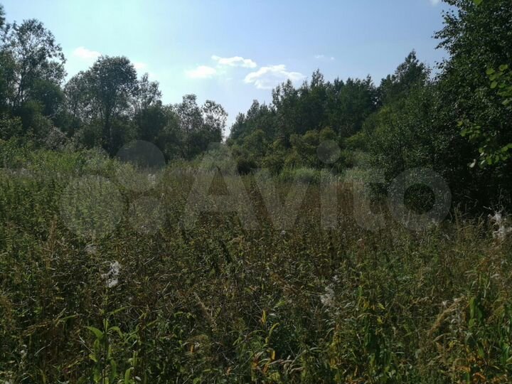 Участок 6,31 га (СНТ, ДНП)