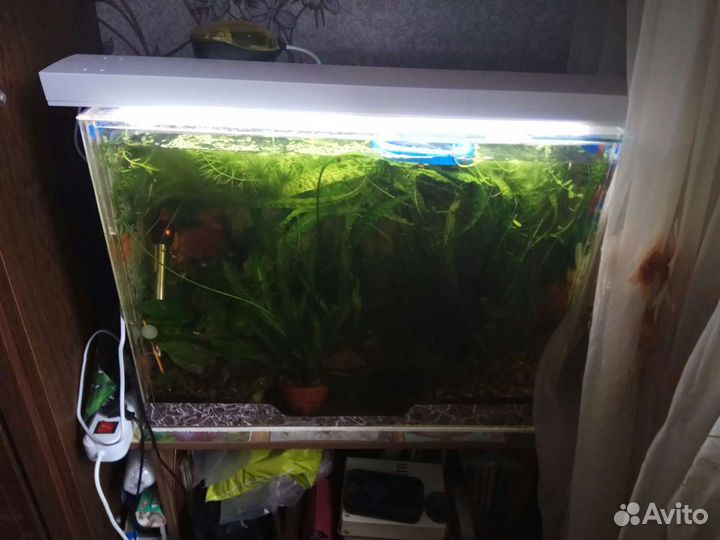 Аквариум
