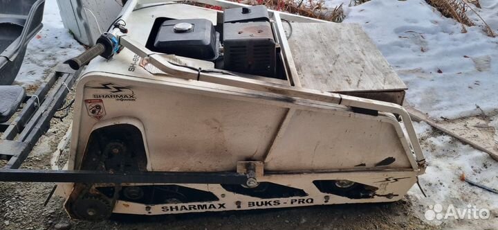 Мото собака