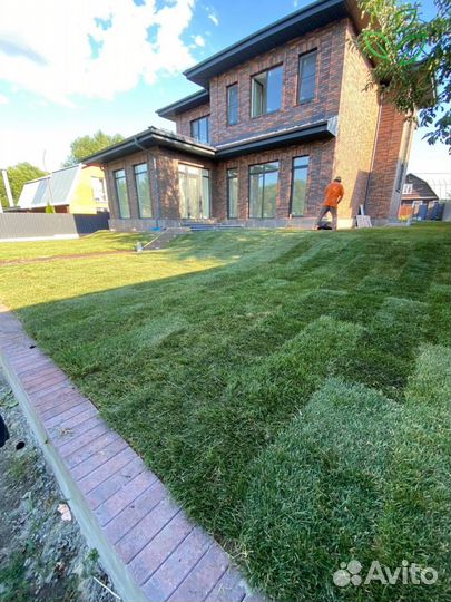 Рулонный газон от производителя