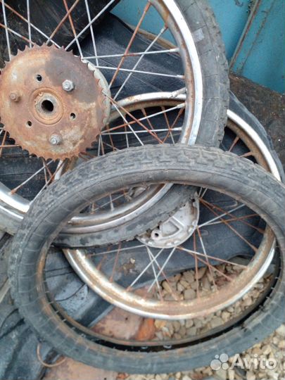 Рига Карпаты Дельта