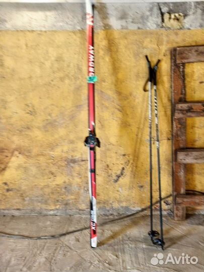 Беговые лыжи