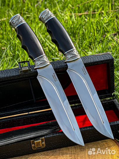 Беркут Кизляр