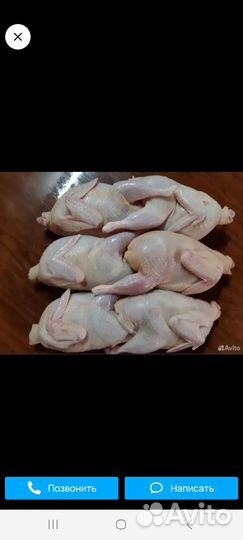 Мясо перепелов