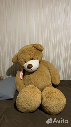 Плюшевый медведь