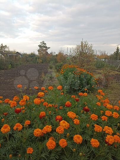 Дача 10 м² на участке 6 сот.