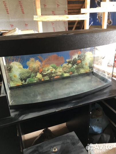 Панорамный аквариум