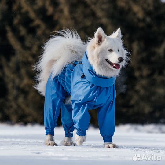 Комбинезон для собаки