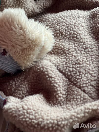 Одежда для мини йорка