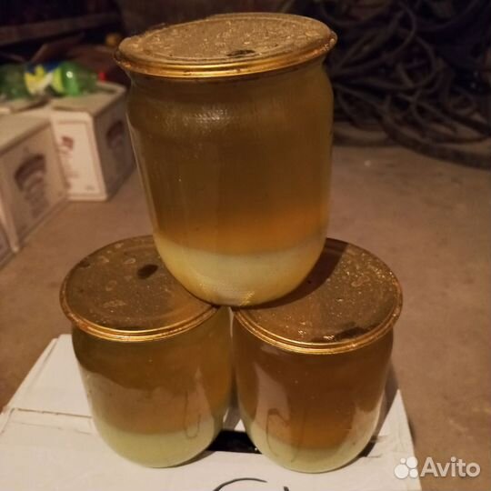 Барсучий жир 0.5 литра