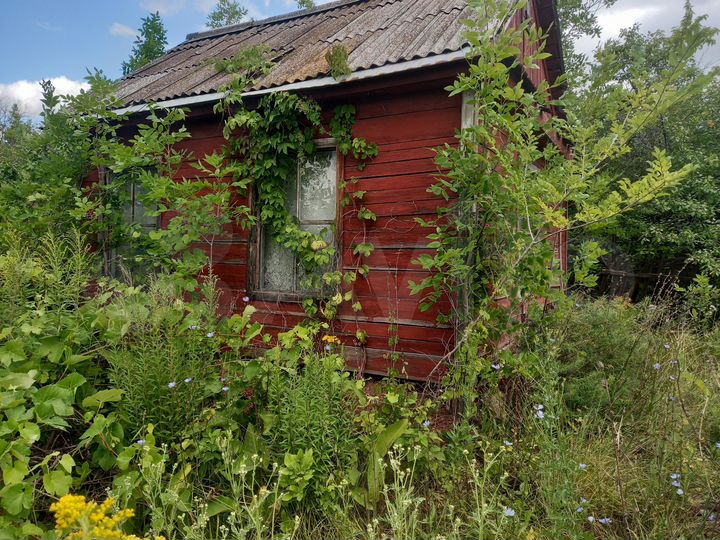 Участок 7,1 сот. (СНТ, ДНП)