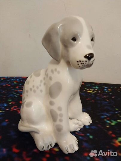 Щенок Дога лфз Пудель Пекинес