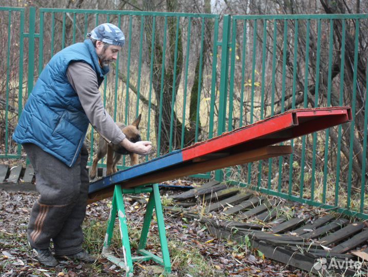 Инструктор по дрессировке собак, кинолог