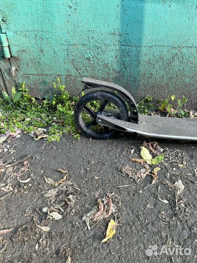 Самокат взрослый