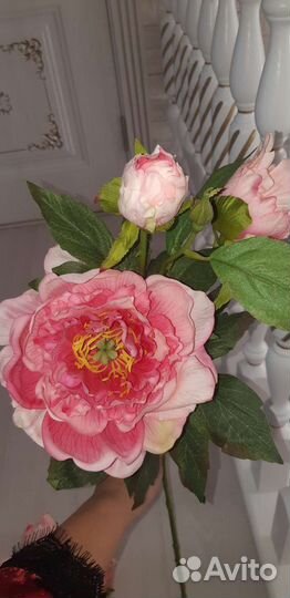 Пионы королевские силиконовые