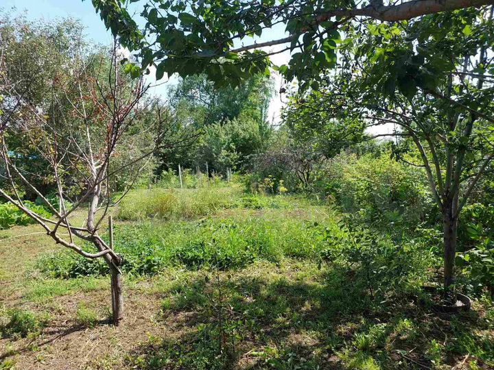 Участок 5,4 сот. (СНТ, ДНП)