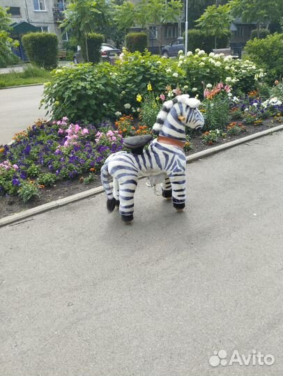 Поницикл средний