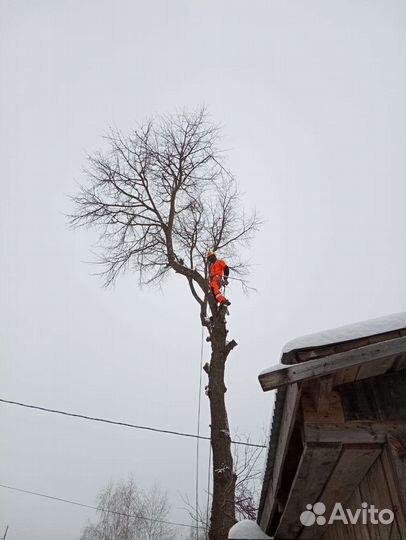 Спил деревьев Г Домодедово