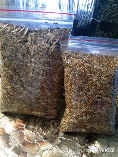 Корм для попугаев