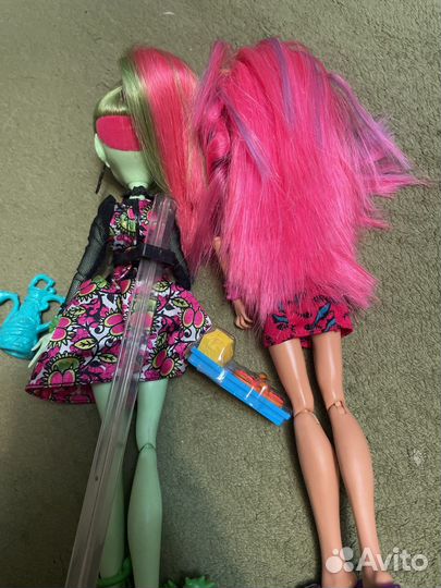 Кукла Монстер Хай венера и хоулин