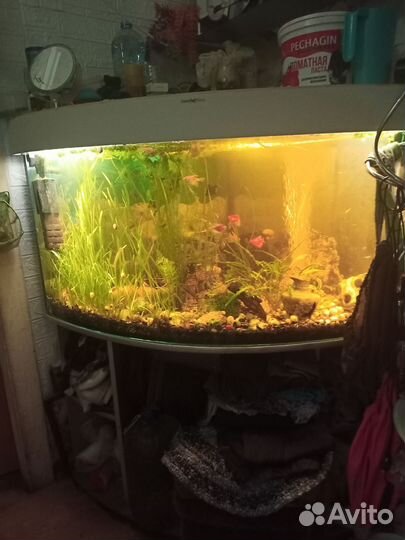 Аквариум