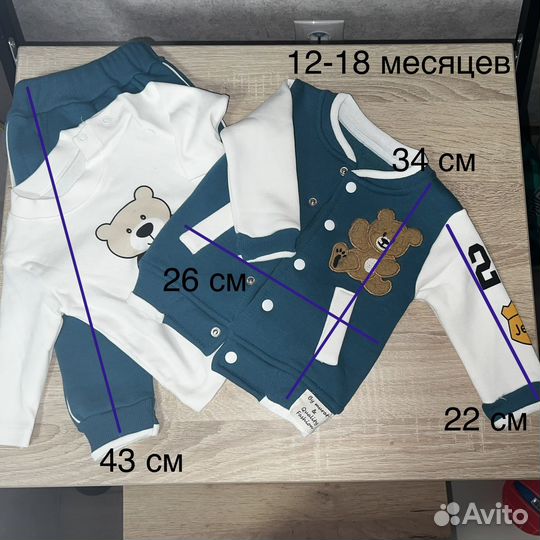 Утепленный детский костюм тройка размеры 9-24 мес