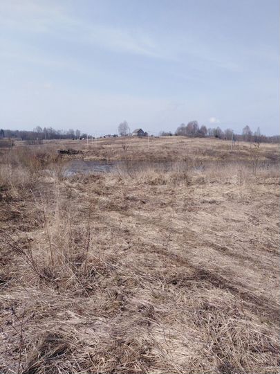 Участок 50 сот. (ИЖС)