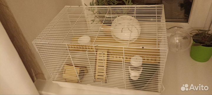 Клетка для грызунов бу