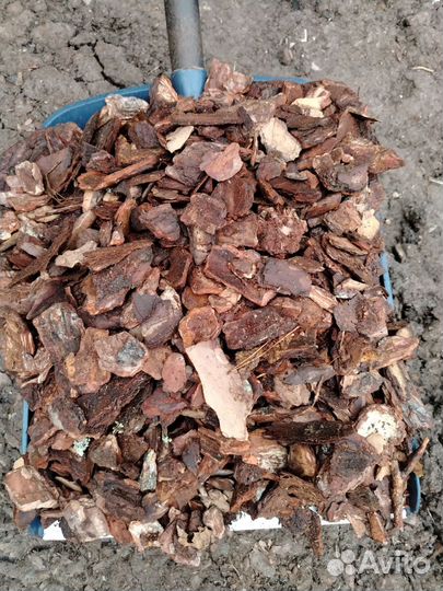 Кора сосны отборная