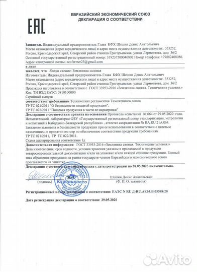 Рассада клубники фриго